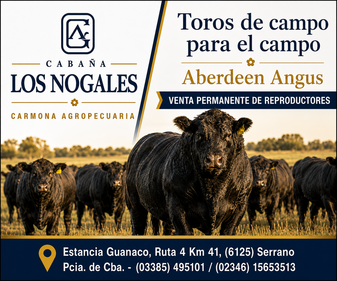 nogales cabecera